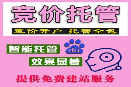 竞价广告代运营：企业增长秘诀